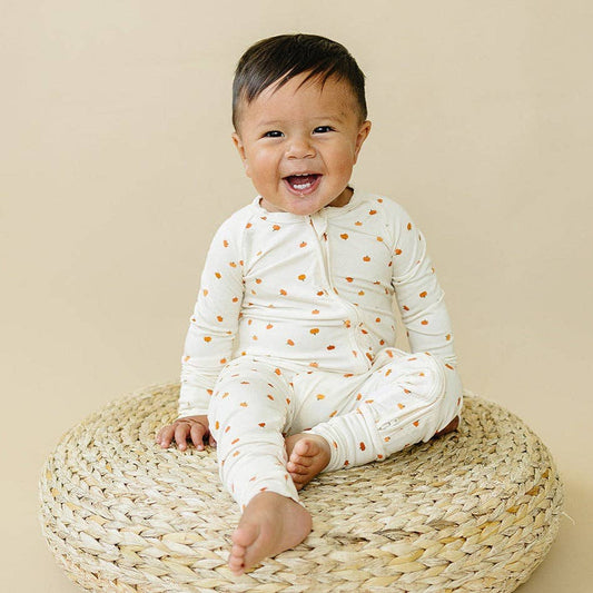 Pumpkins Bamboo Zippy Romper