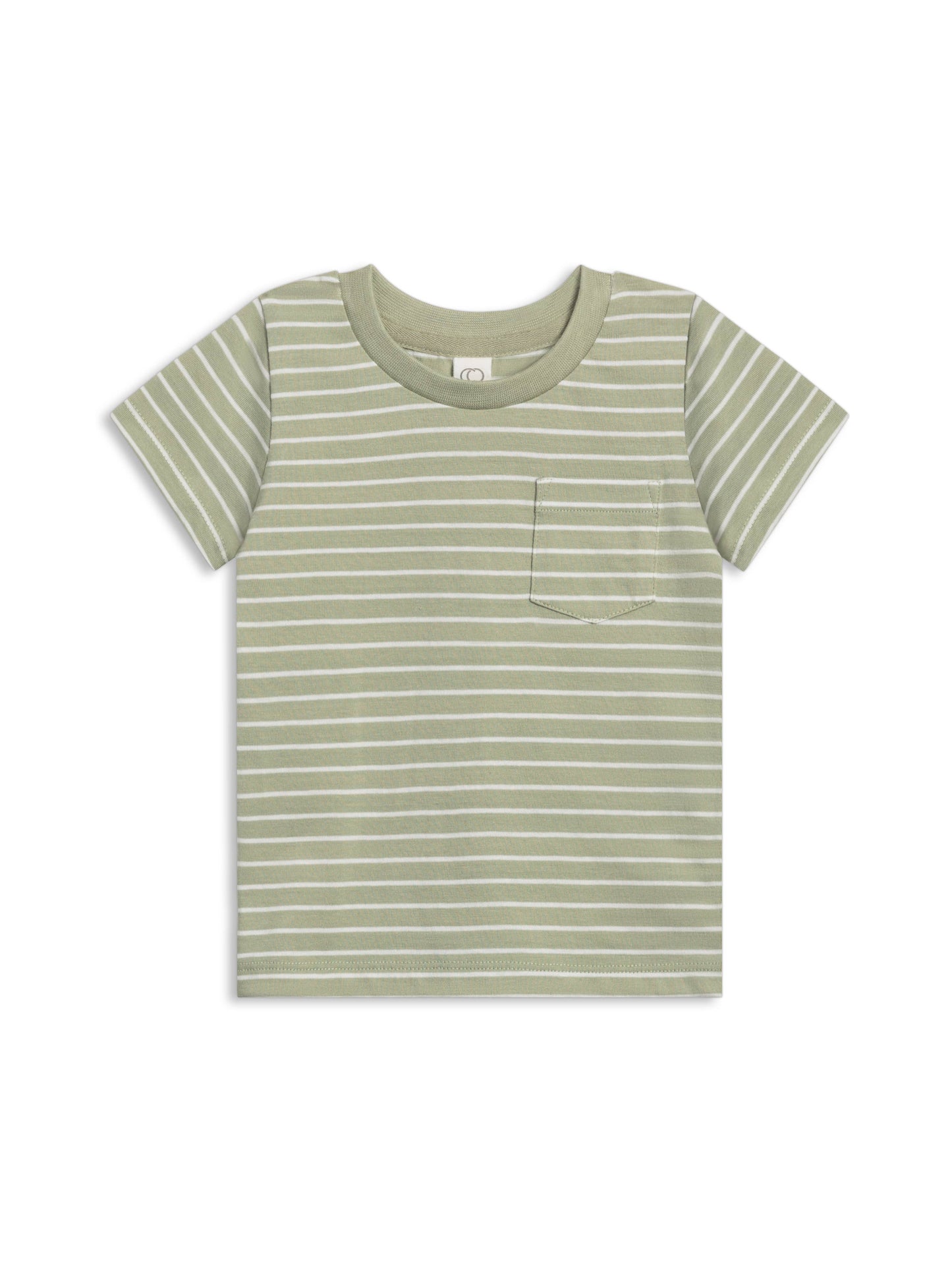 Everest Tee - Davis Stripe / Mint